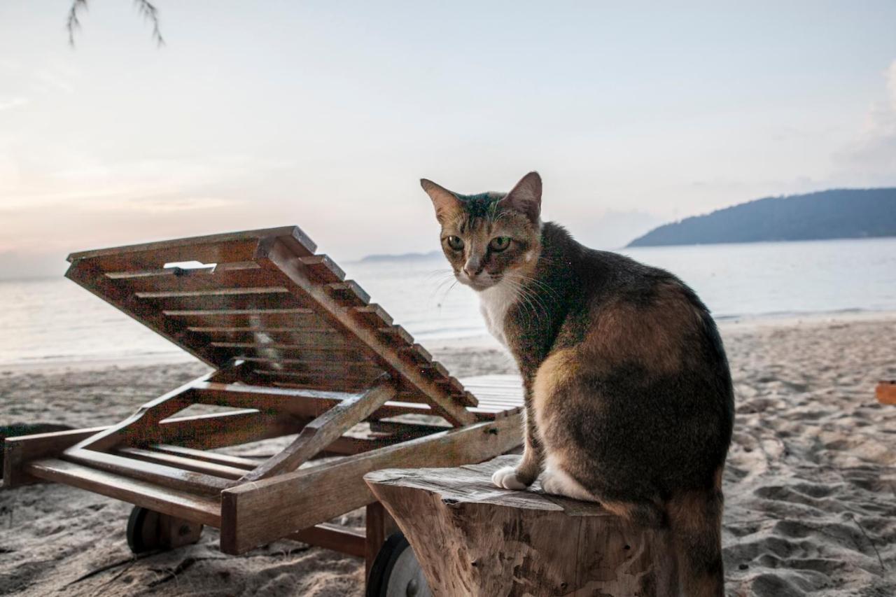 Swiss Cottage Tioman Kampong Ayer Batang المظهر الخارجي الصورة