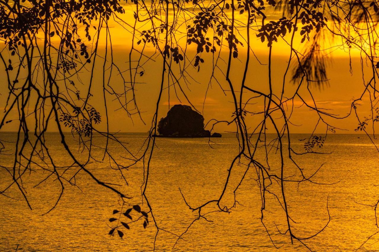 Swiss Cottage Tioman Kampong Ayer Batang المظهر الخارجي الصورة